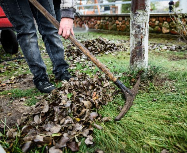 Entrümpelung Garten Berlin – zuverlässig & sauber