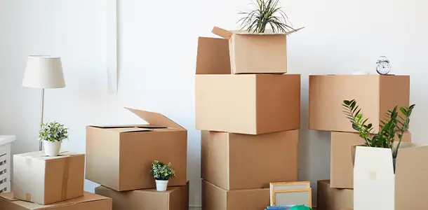 Wohnungsauflösung Berlin‑Hellersdorf – mit Empathie