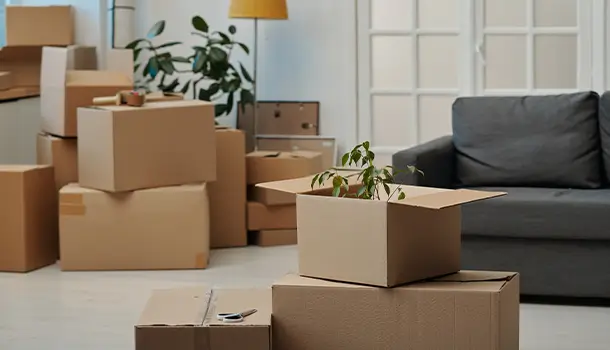 Haushaltsauflösung mit Augenmaß