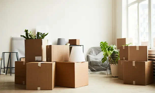 Wohnungsauflösung Berlin-Pankow – mit Übersicht & Ruhe