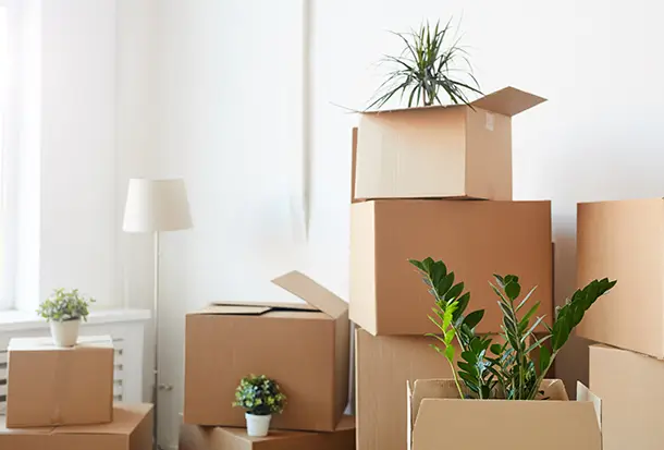 Wohnungsauflösung Berlin-Spandau – mit Herz & Verstand