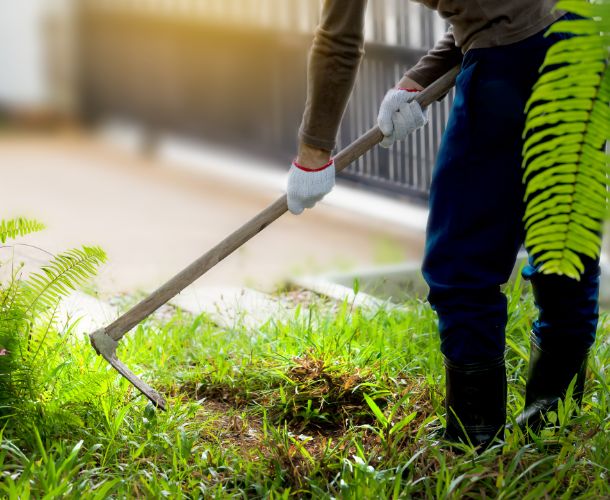 Garten-Entrümpelung