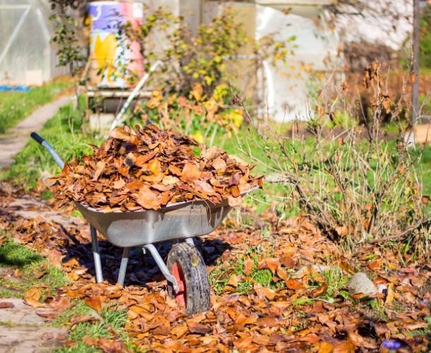 Garten entrümpeln Berlin – so läuft’s ab