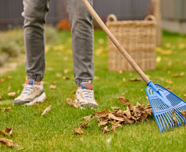 Gartenentrümpelung Berlin Preis – fair kalkuliert