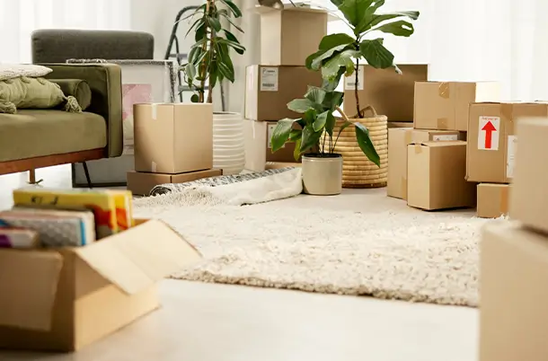 Herausforderungen bei der Haushaltsauflösung in Schönefeld