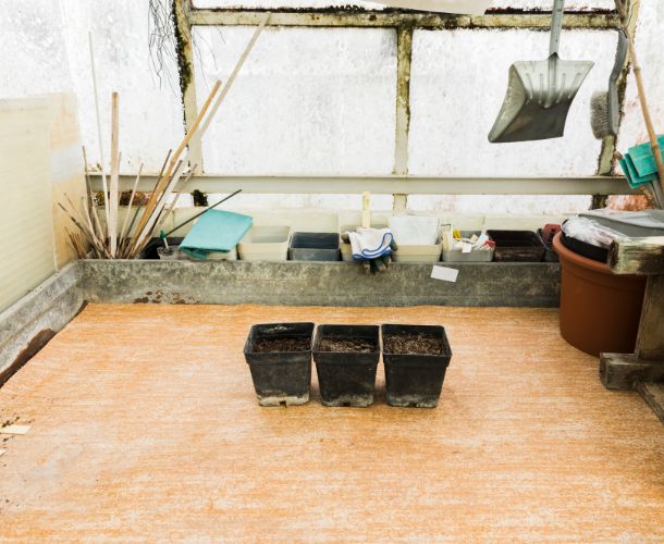 Herausforderungen bei der Kellerentrümpelung in Berlin