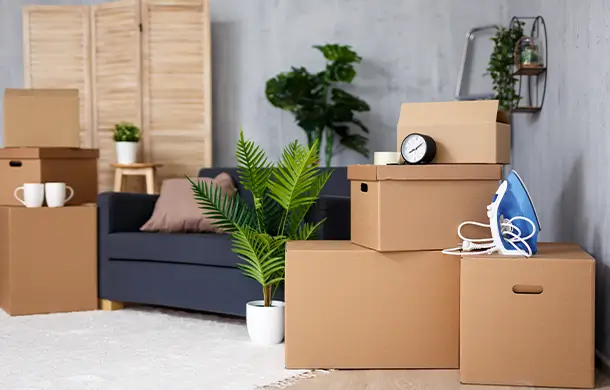 Lichtenberg – ruhig, unterschätzt, vielseitig